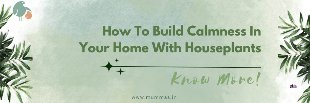 build-calm-by-home-with-plants